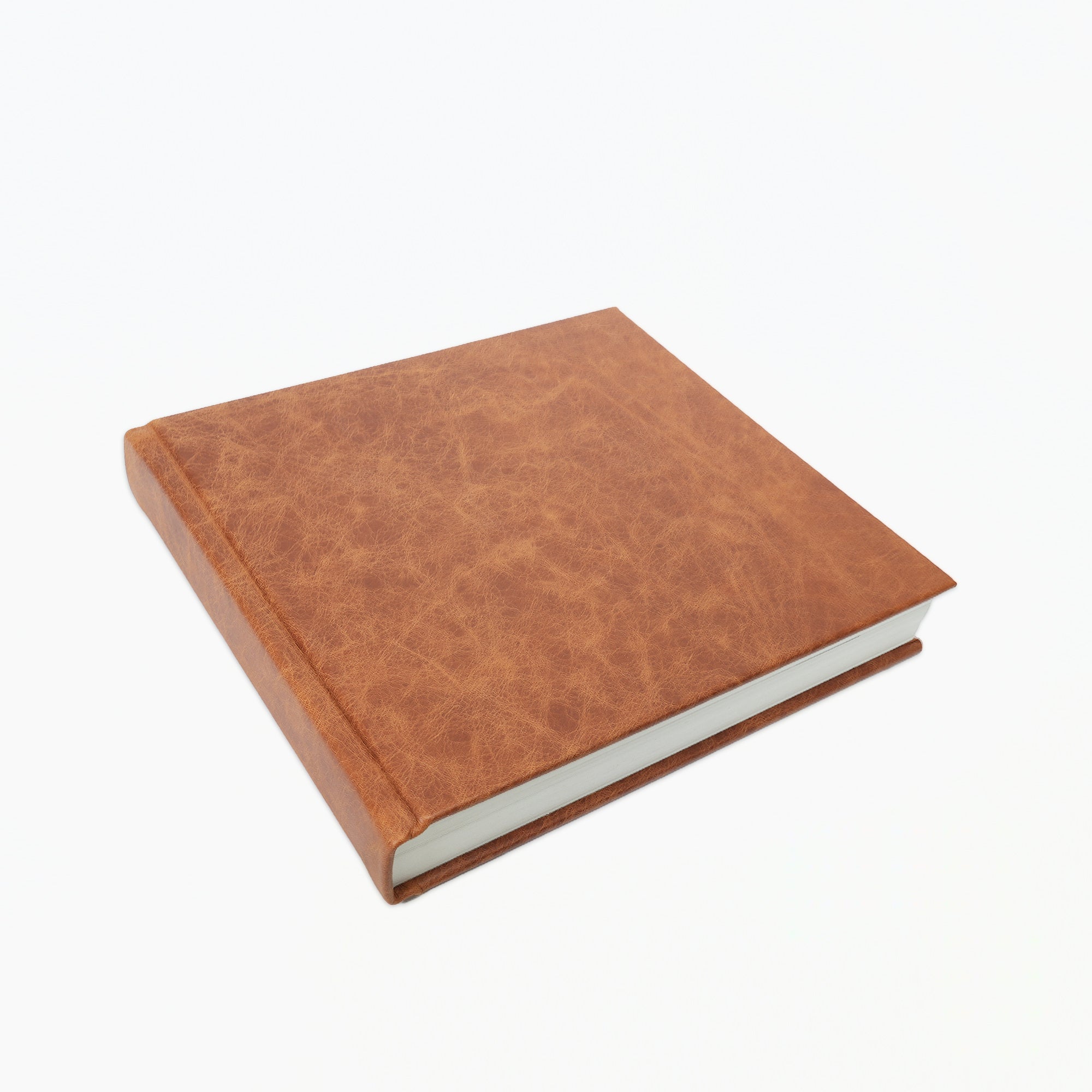 Deluxe Genuine Leather Album