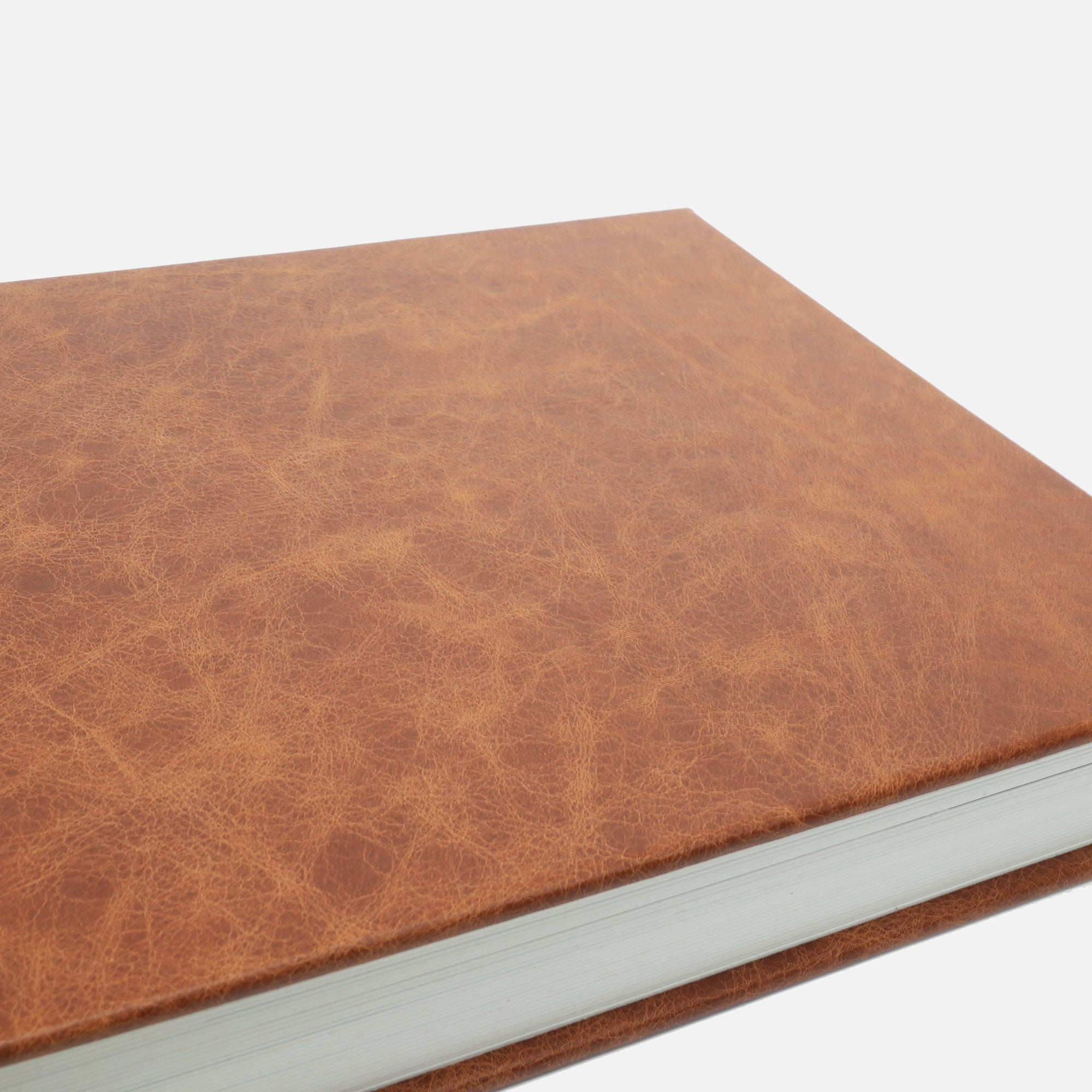 Deluxe Genuine Leather Album